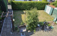 Garten Reihenendhaus in ruhiger Lage von Langg�ns - Garten, Terrasse und flexible Nutzung