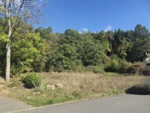 Ansicht Gro�es Baugrundst�ck in Eckelshausen mit Baumbestand