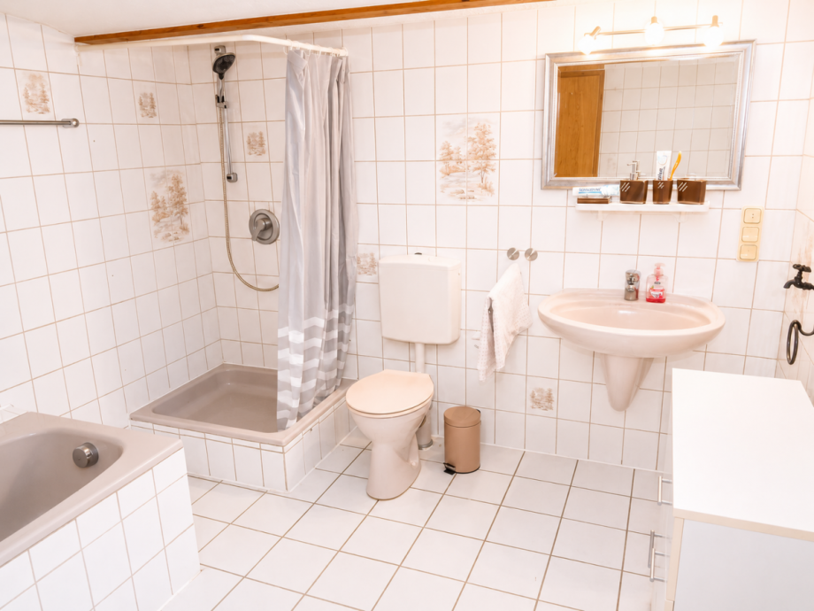 Bad EG Einfamilienhaus Dillenburg