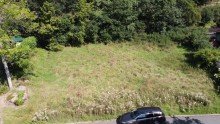DJI_0358 Gro�es Baugrundst�ck in Eckelshausen mit Baumbestand