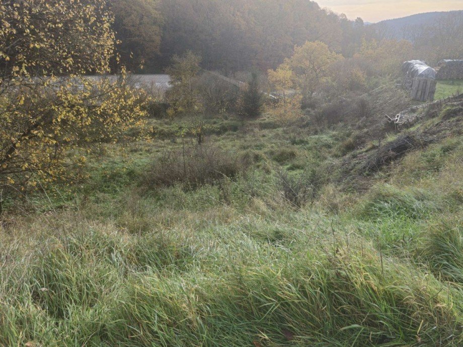 25271_Grundstuck (2) Grundst�ck Biedenkopf