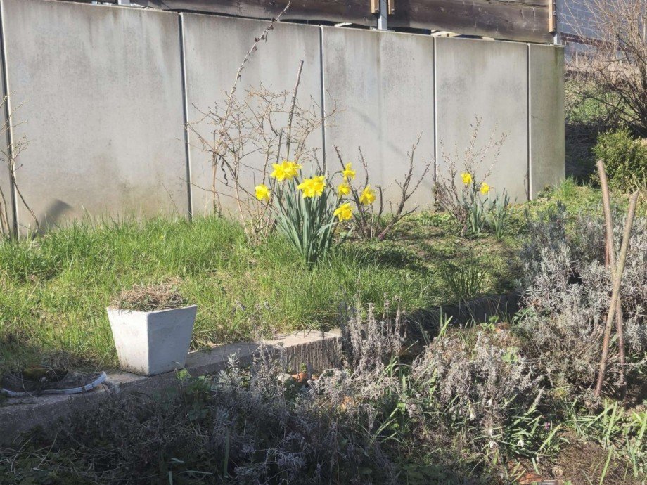 Garten Einfamilienhaus Biedenkopf