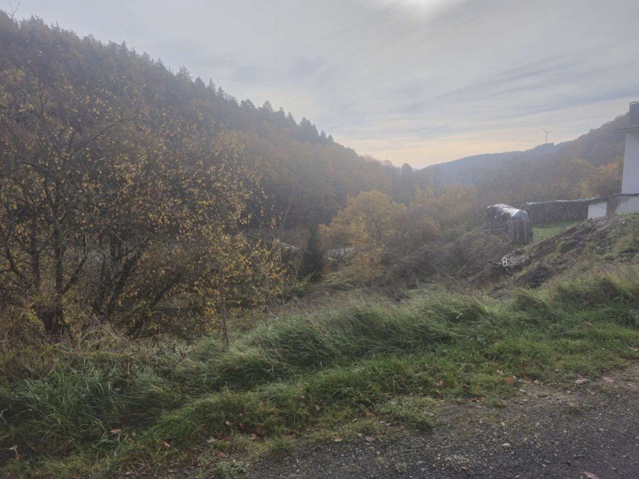 25271_Grundstuck_1 Grundst�ck Biedenkopf