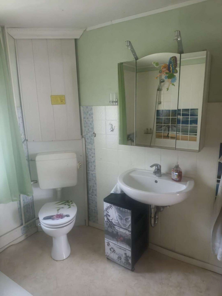 Bad EG Einfamilienhaus Biedenkopf