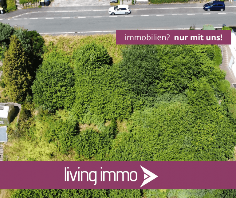 Titelbild Biedenkopf Grundst�ck Attraktives Grundst�ck mit vielf�ltigen Bebauungsm�glichkeiten