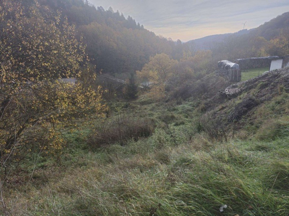 25271_Grundstuck Grundst�ck Biedenkopf