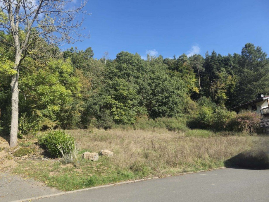 Ansicht Grundst�ck Biedenkopf