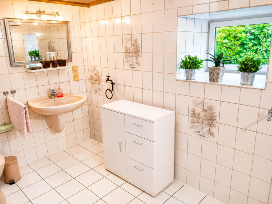 Bad EG Einfamilienhaus Dillenburg