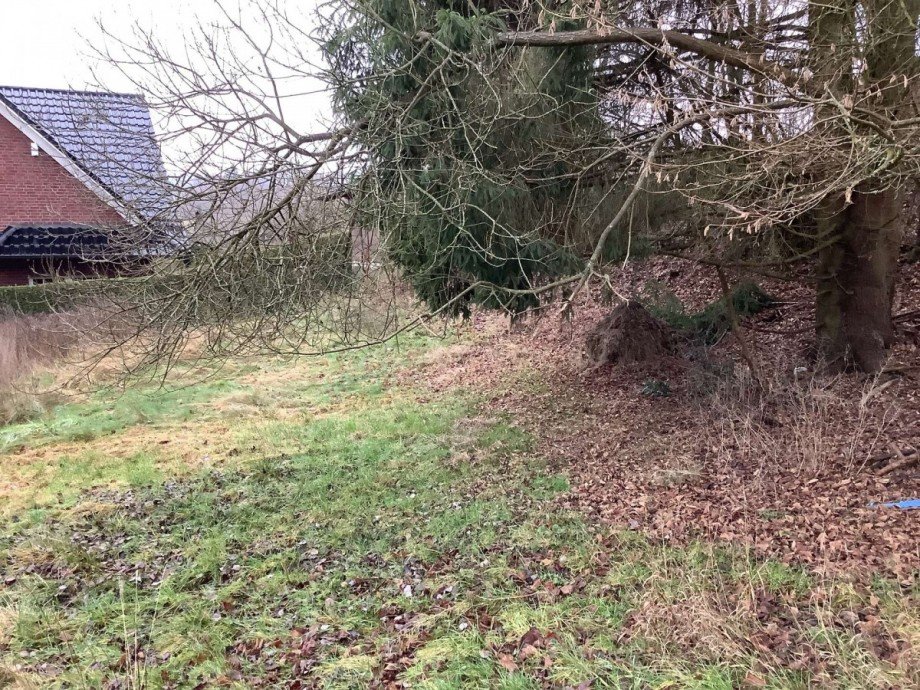 Garten Einfamilienhaus Haiger